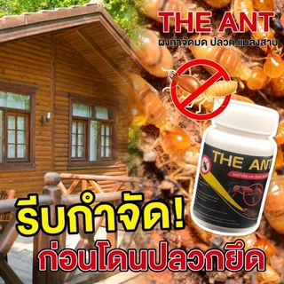 โปรมด 12 กระปุก (6 แถม 6 ) The Ant ผงกำจัด มด ปลวก แมลงสาบ📍 จัดหนักจัดเต็มไปเลยค่ะ📍