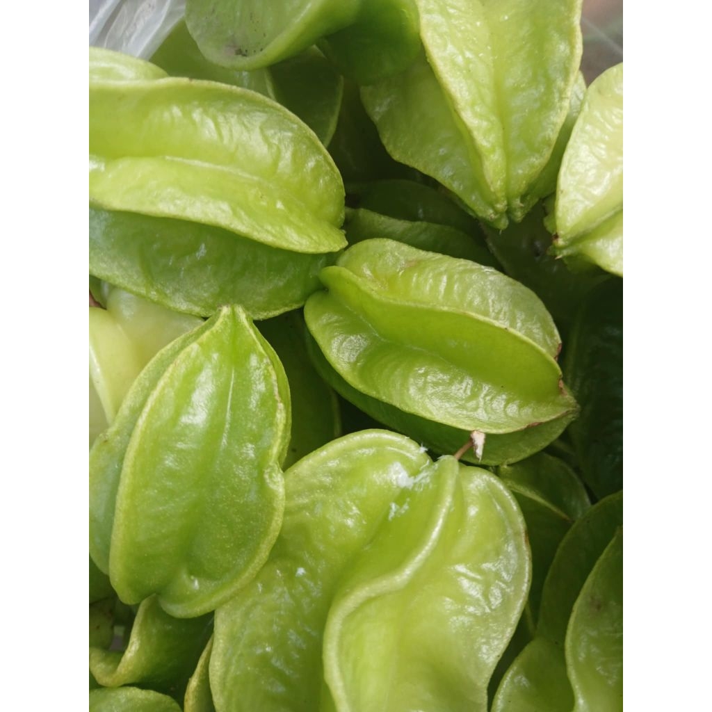 มะเฟืองเปรี้ยวหรือหวาน1kilo,.(1กิโลรวมกล่อง)