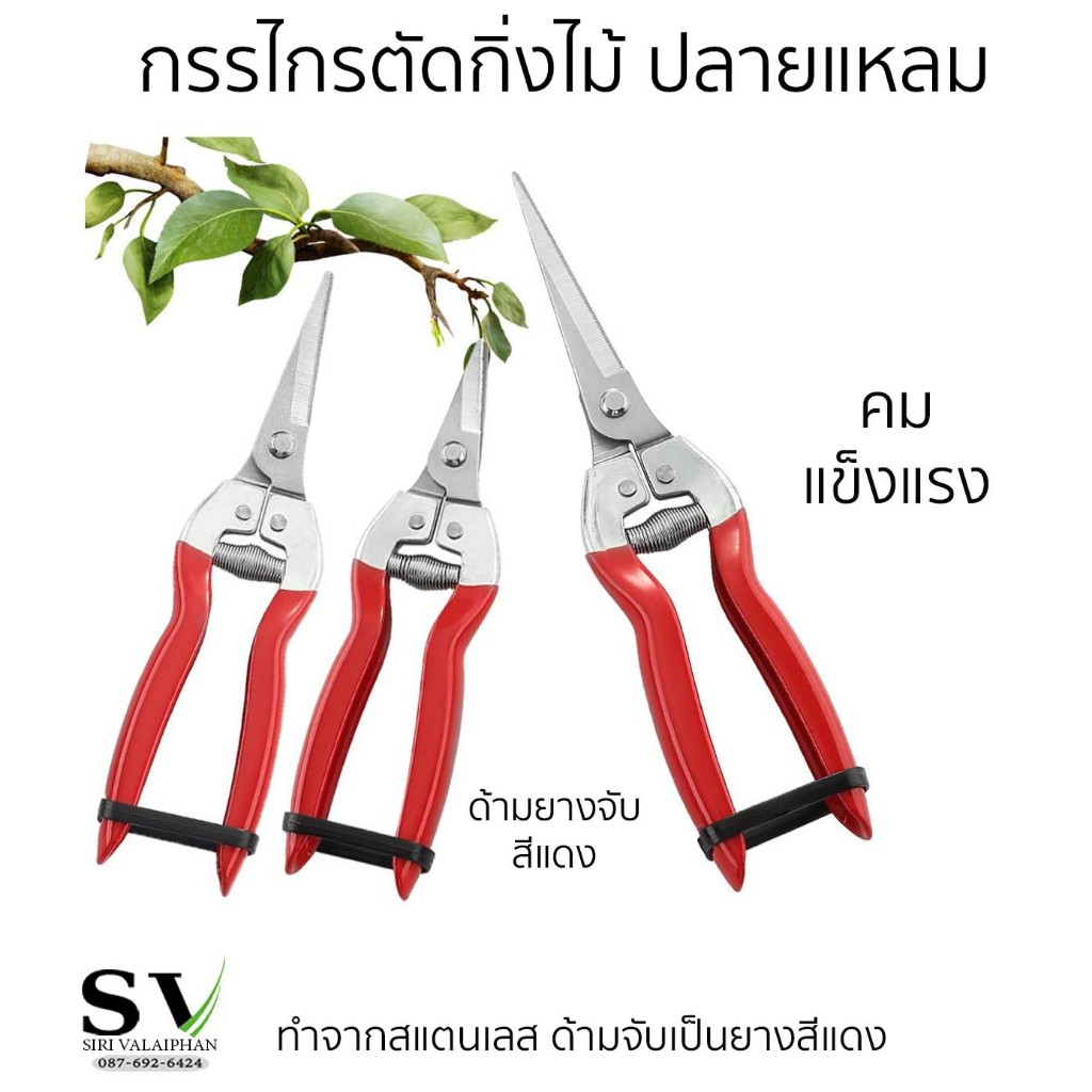 กรรไกรตัดกิ่งไม้ แบบปลายแหลม กรรไกรตัดกิ่งดอกไม้ ตัดเก็บผลไม้จากต้น ทำจากสแตนเลส ที่จับหุ้มด้วยยางนุ่ม
