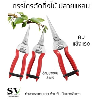 กรรไกรตัดกิ่งไม้ แบบปลายแหลม กรรไกรตัดกิ่งดอกไม้ ตัดเก็บผลไม้จากต้น ทำจากสแตนเลส ที่จับหุ้มด้วยยางนุ่ม