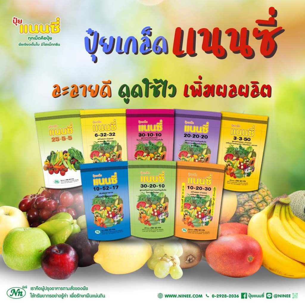 [ยกลัง 20 ถุง] ปุ๋ยเกล็ด แนนซี่ ปุ๋ย ปุ๋ยเกร็ด สูตร 20-20-20 / 6-32-32 / 30-10-10 / 25-5-5 / 3-3-50 