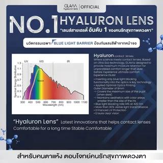 [ ซื้อ2คู่ถูกกว่า ] GLAM Hyaluron Lens💧 รุ่น Russian Brown/Gray เลนส์ไฮยาลูรอน สำหรับคนตาแห้ง ตอบโจทย์คนรักสุขภาพดวงตา