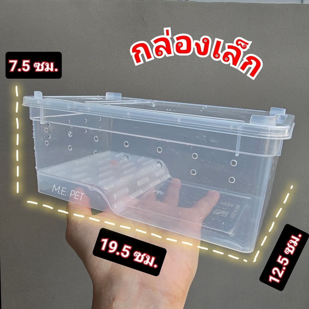 รูปภาพ 2