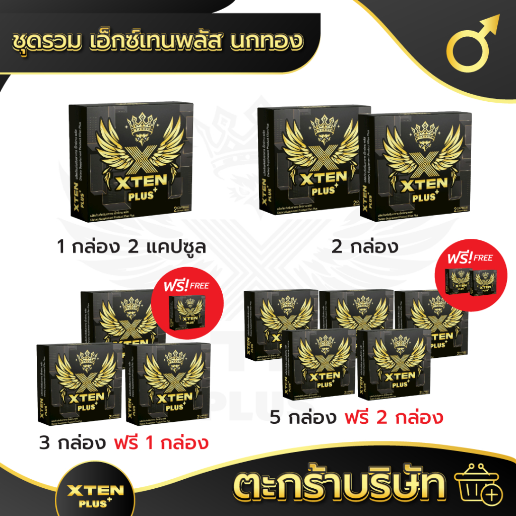 ชุดรวม XtenPlus เอ็กซ์เทนพลัส ผลิตภัณฑ์เสริมอาหารชาย 1 กล่อง 2 แคปซูล นกทอง ประชุมหลายรอบ