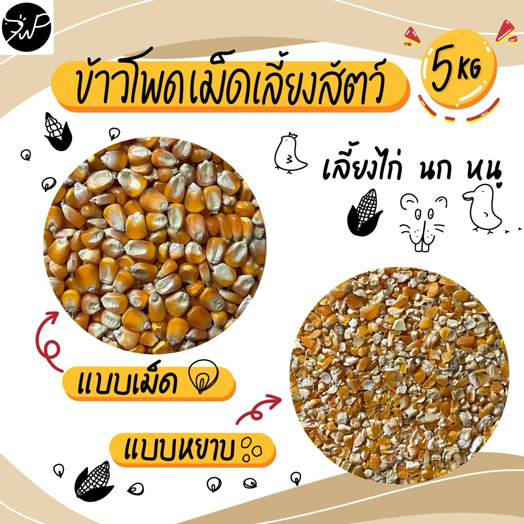 (5กก.) ข้าวโพดเม็ด ข้าวโพดหยาบ ข้าวโพดป่น ข้าวโพดเลี้ยงสัตว์ ไก่ เป็ด ห่าน