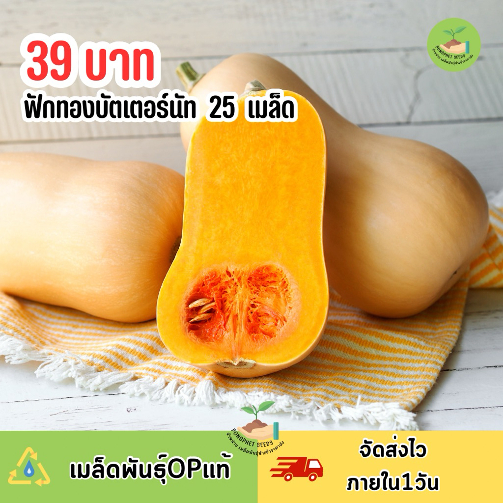 เมล็ดพันธุ์ฟักทองบัตเตอร์นัท บรรจุ 25 เมล็ด