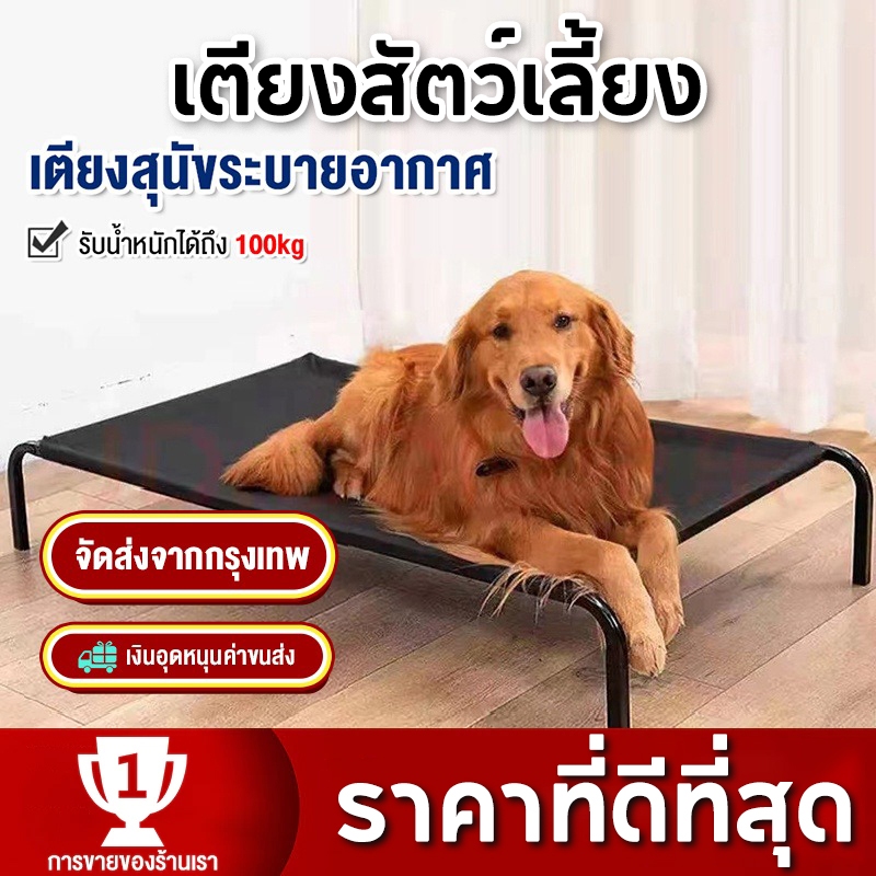 เตียงสัตว์เลี้ยง ที่นอนหมา ปลสัตว์เลี้ยง ที่นอนสุนัข ที่นอนสัตว์เลี้ยง ที่นอนหมา เตียงแมว รักษาโรคผิวหนังและแผลกดทับ