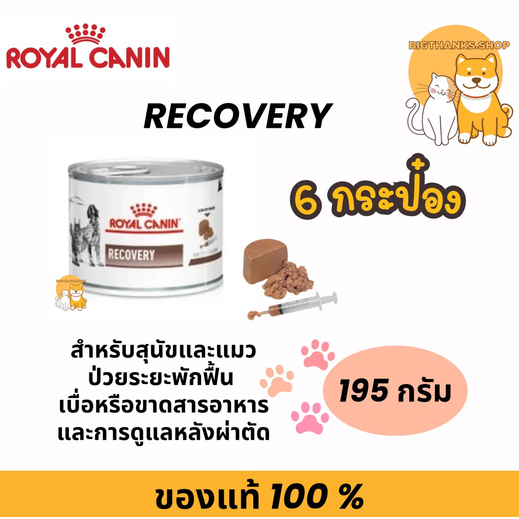 [จำนวน 6 กระป๋อง] Royal canin Recovery can Exp.04/2027  อาหารสุนัข-แมว สัตว์ป่วย พักฟื้น