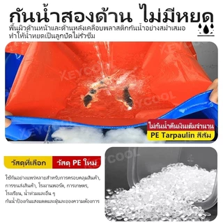 keycool ผ้าใบกันฝน กันแดด ขนาด 5x6 4x6 4x5 3x5 3x4 เมตร มีตาไก่ พลาสติก แบบเอนกประสงค์ คลุมรถได้ บลูชีท