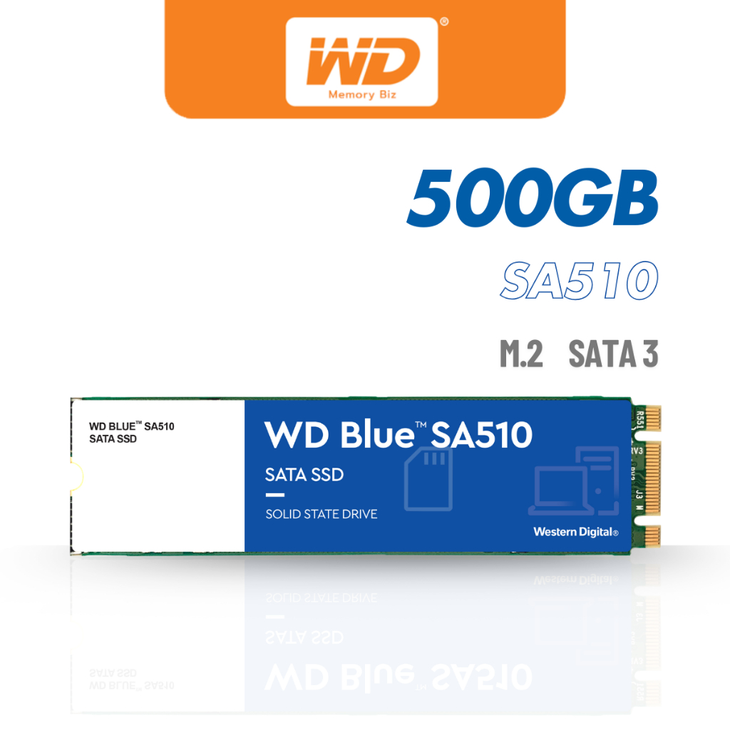 WD Blue SA510 SSD 500GB M.2,SATA 3(6GB/S) - READ560, WRITE 510 WDBLUE WDS500G3B0B เอสเอสดี MemoryBiz