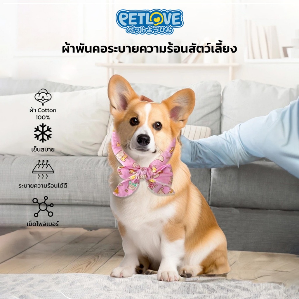 ผ้าพันคอสำหรับสัตว์เลี้ยง มีเม็ดทำความเย็นด้านใน  ผ้าฝ้าย100% ช่วยระบายความร้อน เย็นต่อเนื่อง 8 ชม.