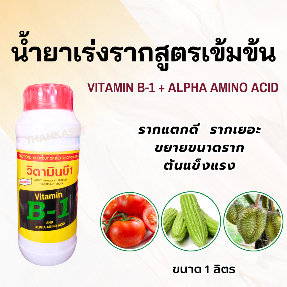 วิตามินบี1 Vitamin B 1 น้ำยา เร่งราก สูตรเข้มข้น เพิ่มอะมิโนขนาด 1 ลิตร for roots
