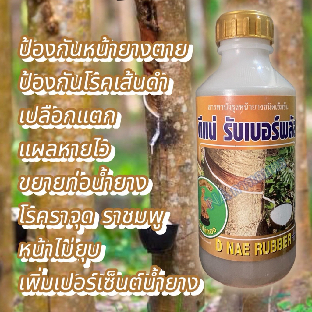 สารบำรุงหน้ายางดีแน่(ทอง)ยาทาหน้ายางสูตรบำรุงหน้ายางปลอดสารเร่ง