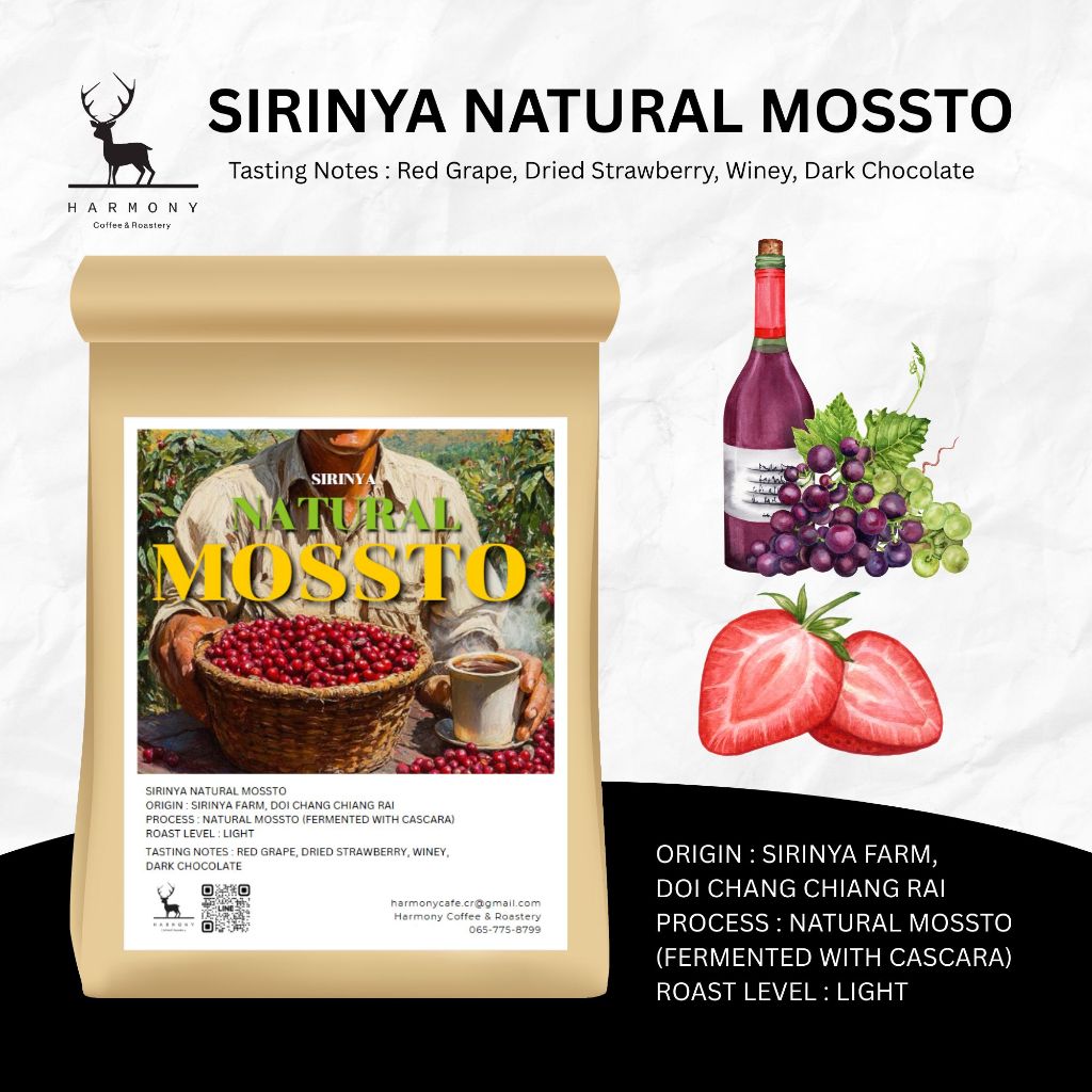 เมล็ดกาแฟคั่วอ่อน Sirinya Natural Mossto | กาแฟไทย คัดพิเศษ กลิ่นหอมฟรุตตี้ : Harmony Coffee0.1