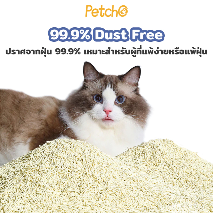 Petcho ทรายแมวเต้าหู้ 10L เกรดพรีเมียม ขนาดอนุภาคเล็ก 1.5 มม จับตัวเป็นก้อนเร็ว ดับกลิ่นดีเยี่ยม - รูปที่ 4