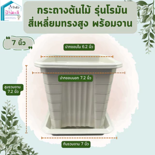 กระถางต้นไม้ รุ่นโรมัน สี่เหลี่ยม ทรงสูง พร้อมจาน ขนาด 7 นิ้ว 10 นิ้ว 14 นิ้ว