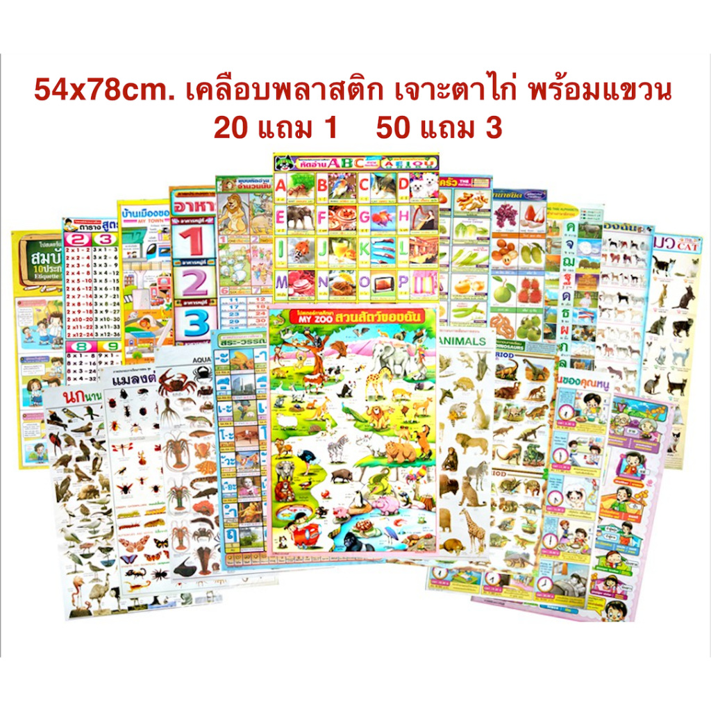 ภาพสื่อการสอน​ โปสเตอร์หุ้มพลาสติก​ เจาะตาไก่พร้อมแขวน 📌ขั้นต่ำ​ 3 แผ่น📌 20แถม1  50แถม3