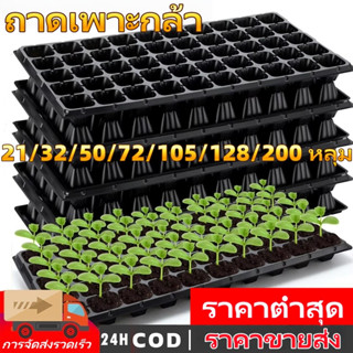 ถาดเพาะกล้า, ถาดเพาะผัก, ถาดปลูกต้นไม้, ถาดเพาะต้นกล้า, ถาดพ…
