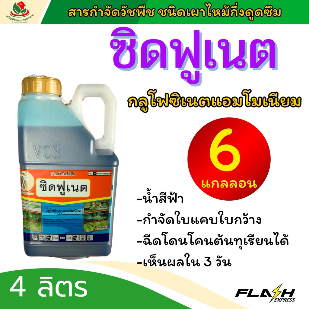 [ ยกลัง 6 แกลลอน ] ซิดฟูเนต 4 ลิตร ตราสิงห์หวีทอง กลูโฟซิเนตแอมโมเนียม น้ำสีฟ้า ระยะปลอดฝนสั้น กำจัดใบแคบใบกว้างได้ดี