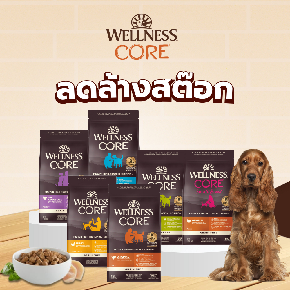 [ลดล้างสต๊อก Short Expired] WELLNESS CORE อาหารแมวพรีเมี่ยม มีให้เลือกหลายสูตรทุกช่วงวัย (แมวเด็ก - แมวโต)