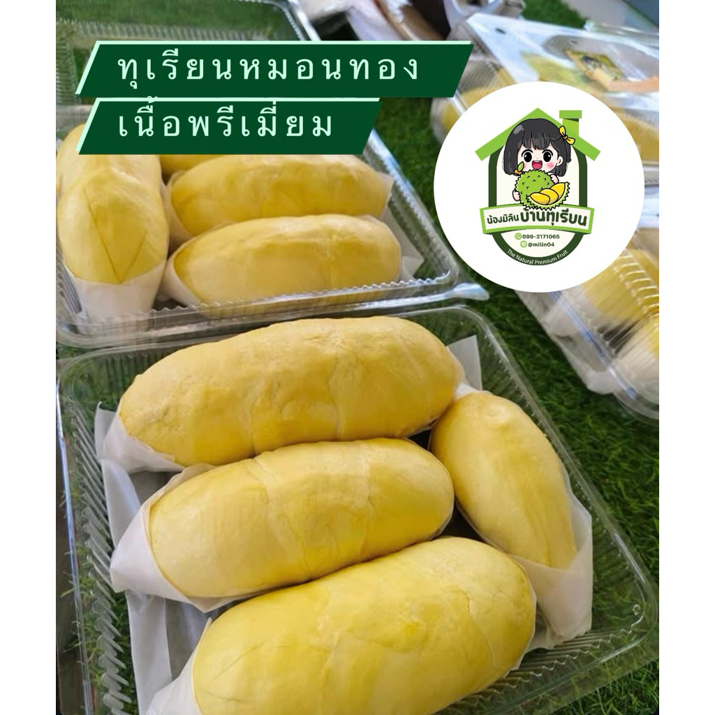 ทุเรียนหมอนทองเนื้อพรีเมี่ยม เลือกเนื้อได้ ส่งกทม. ปริมณฑล ภายใน 1-2 ชม. ต่างจังหวัดส่งรถเย็น 1-3 วัน ค่าส่งถูก