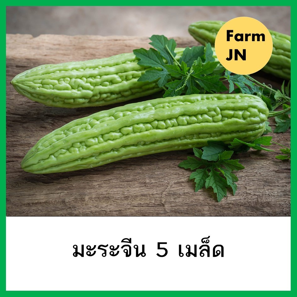 เมล็ดมะระจีน เมล็ดผัก 10 บาท เมล็ดพันธุ์จาก FarmJN