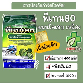 พีเทน80 แมนโคเซบ เชื้อราพืช 1 กิโลกรัม