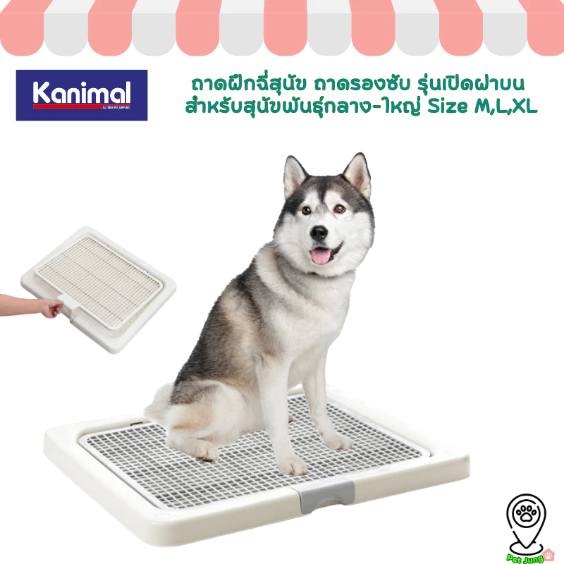 Kanimal Dog Toilet ถาดฝึกฉี่สุนัข ถาดรองซับ ห้องน้ำสุนัข รุ่นเปิดฝาบน สำหรับสุนัขพันธุ์กลาง-ใหญ่ Size M,L,XL