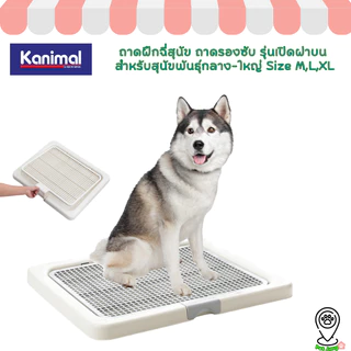 Kanimal Dog Toilet ถาดฝึกฉี่สุนัข ถาดรองซับ ห้องน้ำสุนัข รุ่นเปิดฝาบน สำหรับสุนัขพันธุ์กลาง-ใหญ่ Size M,L,XL