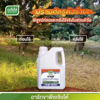 [ยกลังสุดคุ้ม] บากุส 4 ลิตร x 4แกลลอน *ของเเท้ บ.เจียไต๋ กลูโฟซิเนต แอมโมเนียม กำจัดใบแคบใบกว้างเถาเลื้อย กก ไม่ทำลายราก