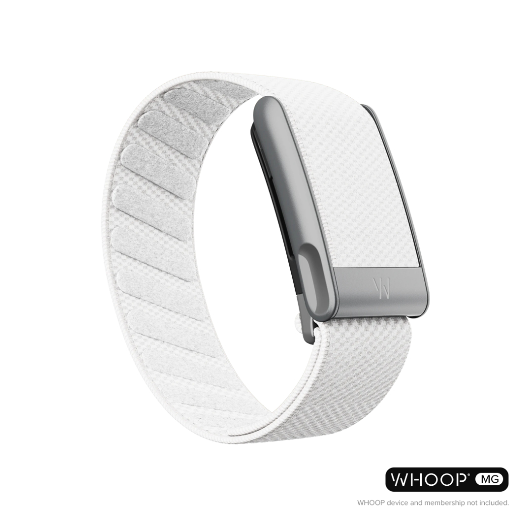 รูปภาพ 7