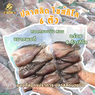 [ 1 กิโลกรัม ] ปลาสลิดแดดเดียวใหญ่พิเศษ แสนสมบูรณ์ปลาสลิดบางบ่อ ขนาด 6 ตัวโล