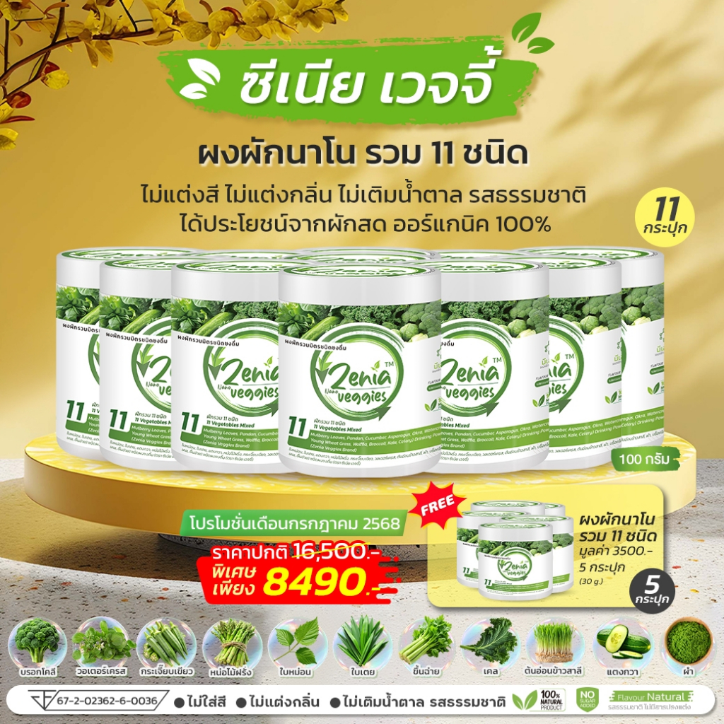 B9 ผงผักนาโนรวม 11 ชนิด 100 กรัม(11 กระปุก)+30กรัม5กระปุก(พรีออเดอร์ 7 วัน)