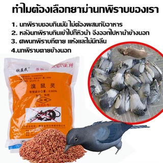 🕊️เห็นผลชัวร์100%🐦ยาเบื่อ นกพิราบ 500g ยาฆ่านกพิราบ ทำลายอวัยวะภายในตายใน 1ชม. แห้งเร็วและไม่มีกลิ่น ยากำจัดนกพิราบ