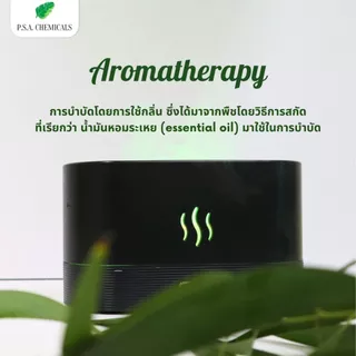น้ำมันหอมระเหย Essential Oil แท้ 100% ขนาด 50 g. Aroma Essential oil ยูคาลิปตัส (Eucalyptus) / เปปเปอร์มินท์ Peppermint