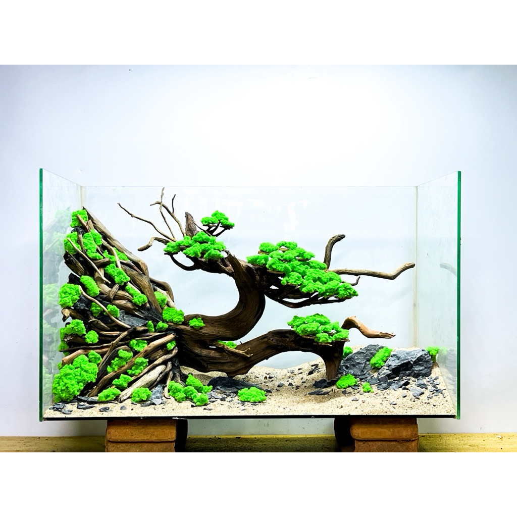 Layout ตู้ไม้น้ำสำหรับตู้ 24-30 นิ้ว ไม่รวมมอส