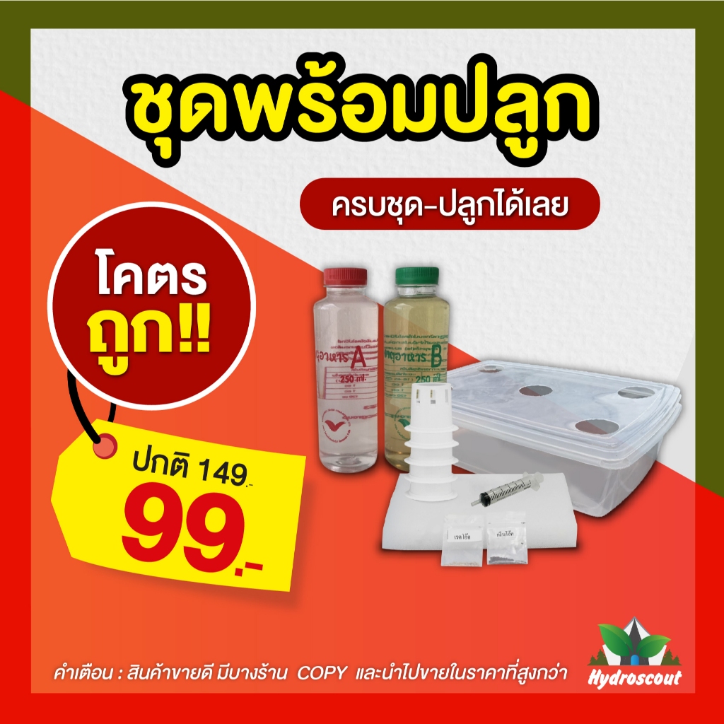 ชุดปลูกผักไฮโดรโปนิกส์ พร้อมปลูก กระบะใส 5 ช่องปลูก by hydroscout