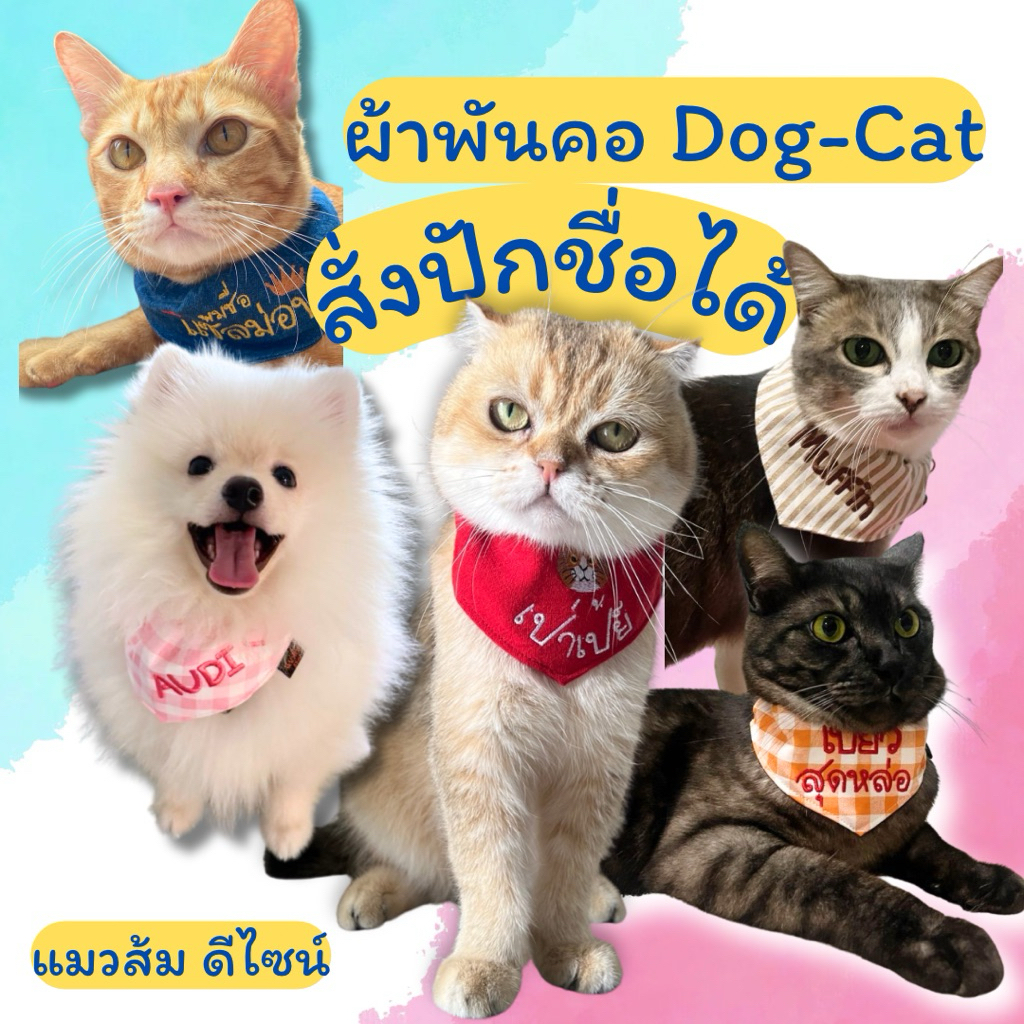 [ ผ้าพันคอแมว ] คิวผลิต 3-4 วัน พร้อมปักชื่อเบอร์โทรตามสั่ง เพิ่มความน่ารัก ป้องกันน้องหายจากบ้าน
