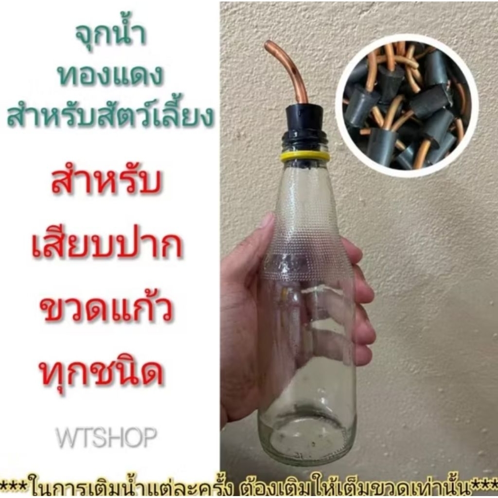 จุกน้ำสัตว์เลี้ยง (แพ็ค 50 ชิ้น) จุกน้ำทองแดง สำหรับขวดแก้วทุกชนิด เช่น ขวดไวตามิลค์ สปอนเซอร์ โซดา (50ชิ้น)