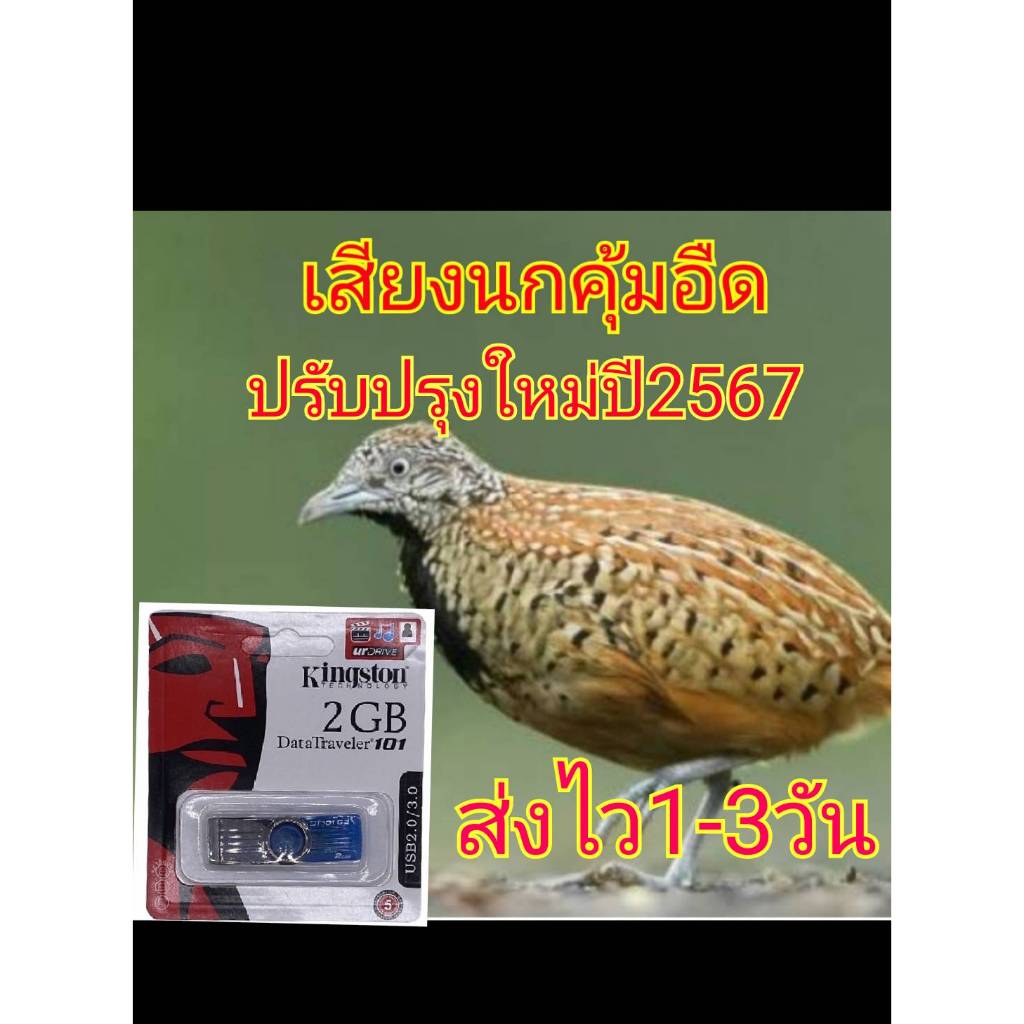 เสียงนกคุ่มต่อUSBเสียงใสพร้อมใช้งาน - รูปที่ 2