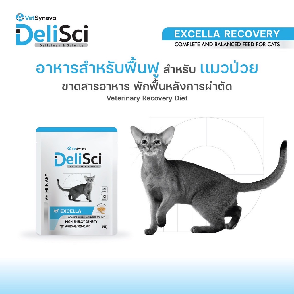 (1ซอง และ 3 ซอง) Delisci Excella อาหารเปียกแมว ฟื้นฟูสำหรับสัตว์ป่วยและขาดสารอาหาร ขนาด80 g