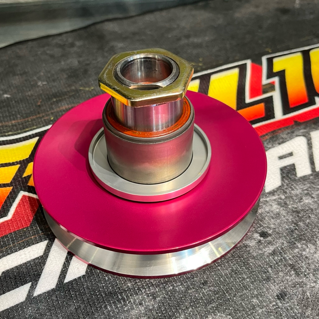 ทอร์คหลัง Dio สีชมพู Level10