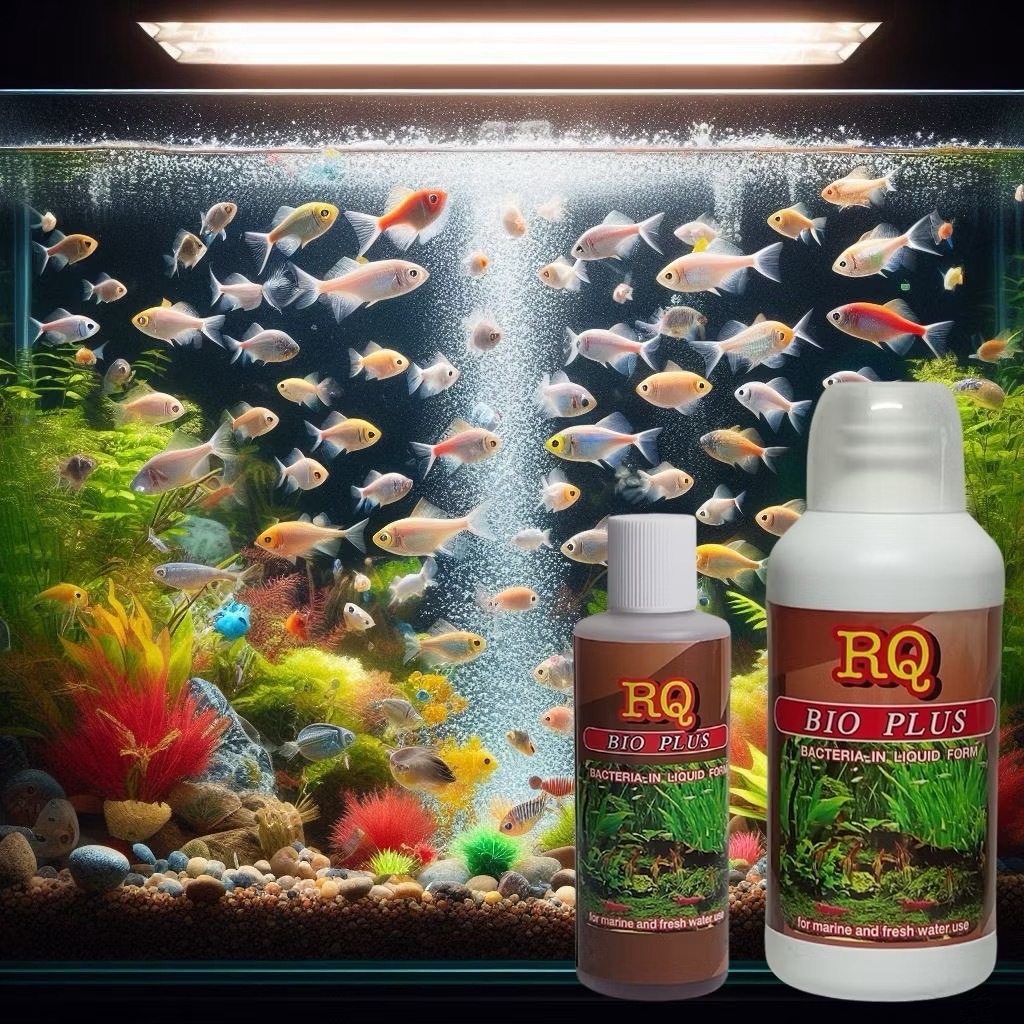 RQ BIO PLUS จุลินทรีย์แบคทีเรียย่อยของเสีย ทำให้น้ำใส ลดแอมโมเนีย สำหรับตู้ปลา บ่อปลา น้ำจืด-น้ำเค็ม