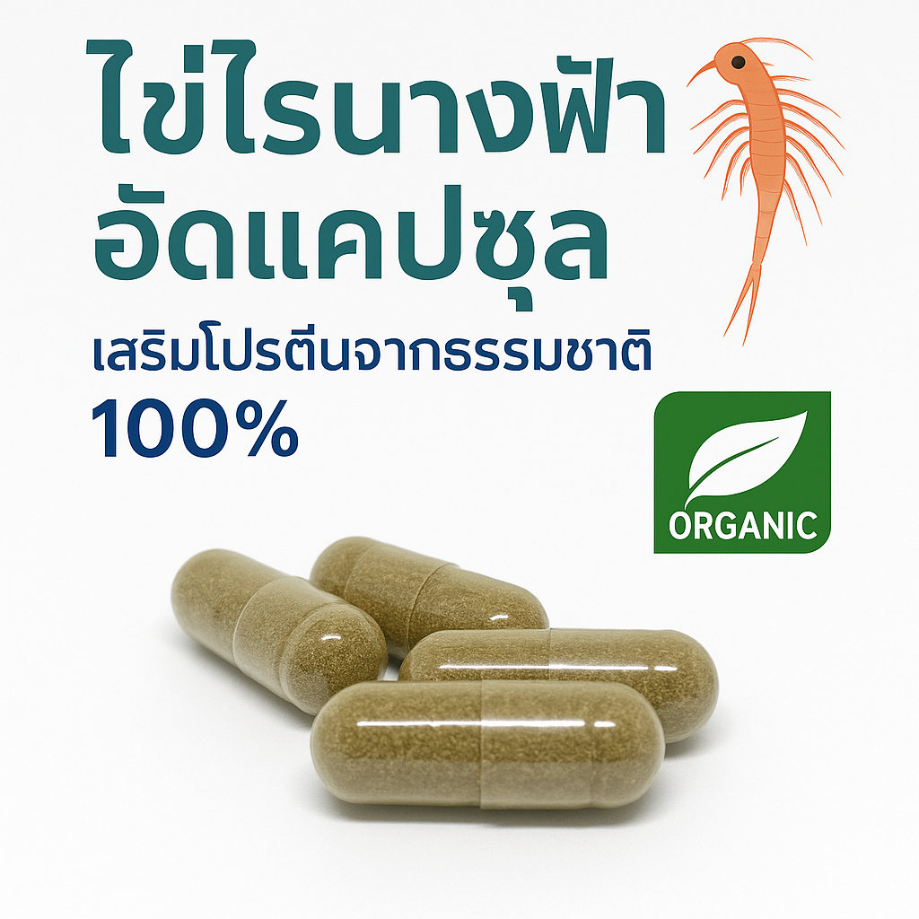 ไข่ไรนางฟ้าไทย (Fairy Shrimps) ในแคปซูลใหญ่เบอร์1 อาหารปลาสำหรับลูกปลาแรกเกิด