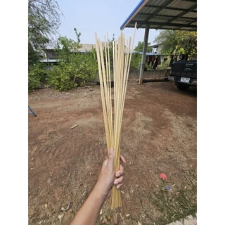 ก้านดอกเลา สำหรับทำทำเครื่องร่อน เครื่องบินพลังยาง ตัดยาว 70 ซม. สำหรับหางบั้งไฟตัดยาว 150 ซม.