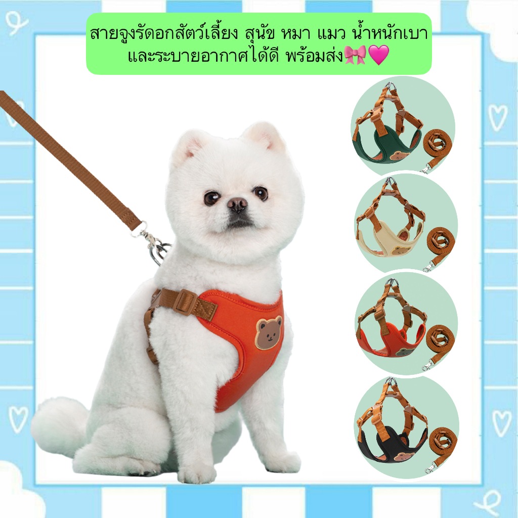 PP-501 สายจูงรัดอกสัตว์เลี้ยง สุนัข หมา แมว น้ำหนักเบา ระบายอากาศได้ดี พร้อมส่ง🎀