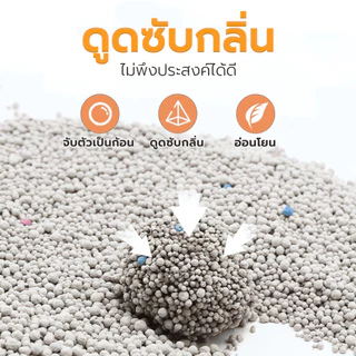 ทรายแมวเบนโทไนท์ Petus 5 ลิตร จับตัวเป็นก้อนเร็ว ระงับกลิ่นดี ฝุ่นน้อย ไม่ติดเท้า มีให้เลือก 5 กลิ่น