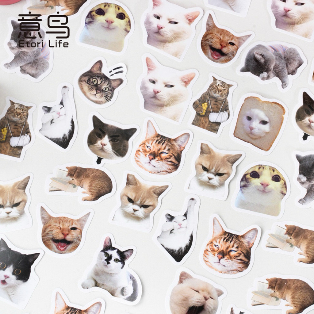 💥จัดส่งไว💥(007)สติกเกอร์สัตว์เลี้ยงน่ารักกกก 45 ชิ้น
