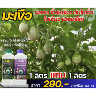 1ลิตรแถมฟรี1ลิตรCABMAXแคลเซี่ยมโบรอน+VAMAXธาตุอาหารรวม7ชนิด