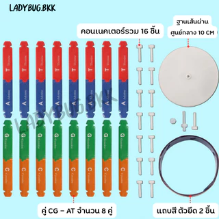 Ladybug โมเดล DNA ของเล่นวิทยาศาสตร์ เพื่อการเรียนรู้ สําหรับเด็ก Double Helix Human Genes DNA